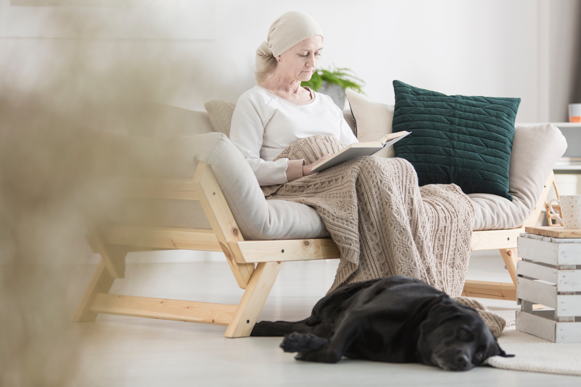Support Animals in Phoenix, AZ, HOAs: What You Need to Know